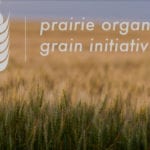 After a period of sluggish growth and a decline in the number of producers in the early 2010s, organic farming is expanding in Western Canada. | Screencap via prairieorganicgrain.org