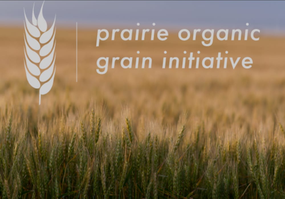 After a period of sluggish growth and a decline in the number of producers in the early 2010s, organic farming is expanding in Western Canada. | Screencap via prairieorganicgrain.org