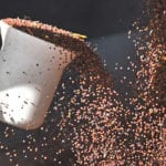 It was a sad week for the ICE Futures canola market ending Nov. 16. The January contract dropped below the C$480 per tonne mark and while many may hope it will go back higher; people should prepare themselves for it to go lower still. | File photo
