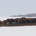 A case of bovine tuberculosis has been found in a cow that originated in British Columbia's southern interior. | File photo