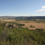 More land in the Alberta Peace would be converted to farming production if Kenney forms the next Alberta government. | WP file photo