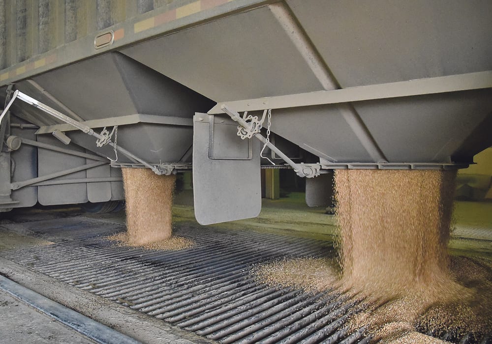 Great Western Commodities will purchase grain from farmers in southern Saskatchewan.  |  File photo