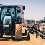 Karan Beef is the continent’s largest cattle feedlot with 150,000 cattle. It also owns three adjoining farms, an abattoir with a capacity of 2,100 head per day and a distribution centre. | Karan Beef photo