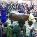A record number of schoolchildren attended Canadian Western Agribition last week and organizers say that is the key to a successful future for both the show and the agriculture sector. | Twitter/@DiegoMoyaSask photo