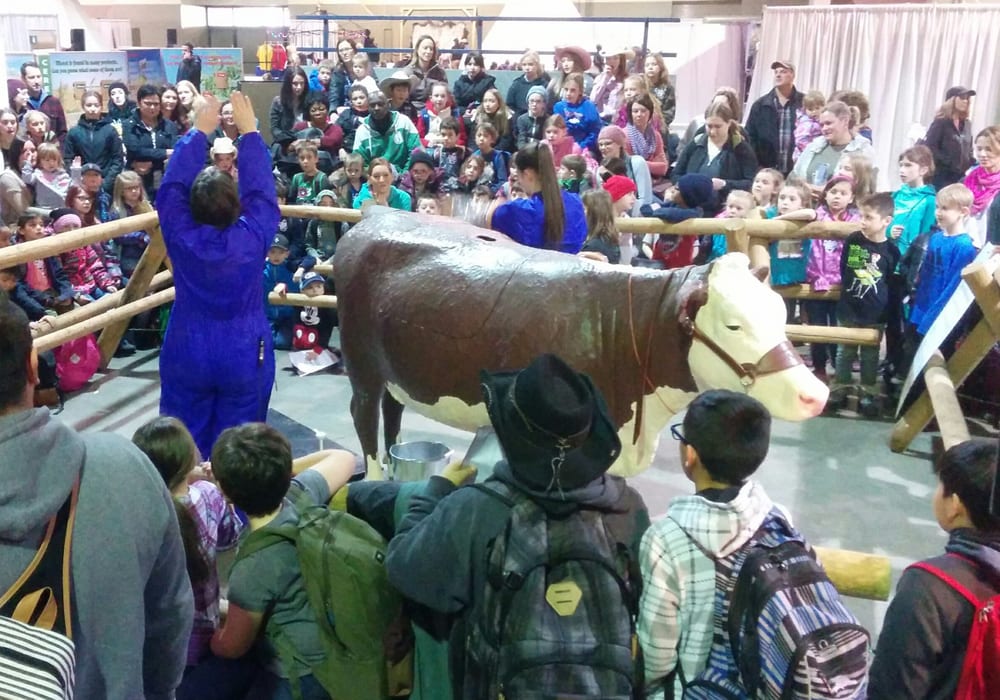 A record number of schoolchildren attended Canadian Western Agribition last week and organizers say that is the key to a successful future for both the show and the agriculture sector. | Twitter/@DiegoMoyaSask photo