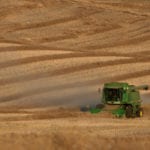ICE canola futures touched their lowest levels in more than a year on Nov. 20, but managed to uncover some support to the downside and were relatively steady on the week by Friday, Nov. 23. | File photo