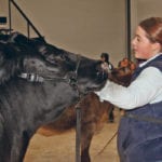 The grand championship at the Canadian Western Agribition junior supreme show went to Jacey Massey of Strathmore, Alta., and her Simmental heifer. | Barbara Duckworth photo