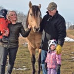 Mary Jean and Jack Mulder visit their seven-year-old Quarter Horse stallion, Rebel Laico Doc Bar, with two of their grandchildren, Eli, 1, and Annalee, 2. The weathered building behind is the remains of a house that Jack’s grandparents lived in for about a year in the mid-1960s while their new home was being built elsewhere on the property. | Maria Johnson photo