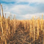 Agricultural associations that conduct applied research are unique to the farming industry. | File photo