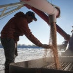 The Western Canadian Wheat Growers Association says it's in favour of paying royalties on farm-saved seed if it means better seed products for prairie farmers. | File photo
