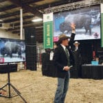 Ringman Danny Vandenameele takes bids on the grand champion bison bull during the sale at Canadian Western Agribition. The bull consigned by Silver Creek Bison from Binscarth, Man., sold for $17,000. | Karen Briere photo