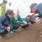 Tourists experience agricultural work in Tono. | Photo courtesy of Tono Natural Life Network