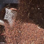 ICE Futures canola contracts moved higher during the week ended Dec. 7, although whether or not that trend continues is questionable. | File photo