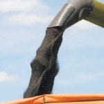 Canola crush margins have shown some improvement over the past few months, which should be bringing in good demand from processors. | File photo