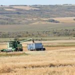The ICE Futures canola market has seen contracts become cheaper as of late, which could lead to an increase in demand. But the market is also still closely following the ongoing saga between China and the United States. | File photo