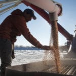 Producers who see the potential merit of more private investment in variety development were also in attendance at the Saskatoon meeting, but since that wasn’t a popular view, those producers didn’t have a lot to say. | File photo