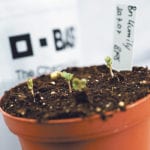 Close proximity to the United States is one reason given for why Canada might be falling behind in agricultural research and development. | File photo