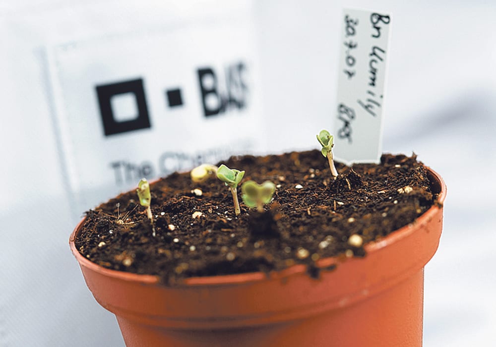 Close proximity to the United States is one reason given for why Canada might be falling behind in agricultural research and development.  |  File photo