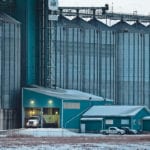Trucks unload grain at Cargill’s grain handling facility in Blackie, Alta., late last month. | Mike Sturk photo