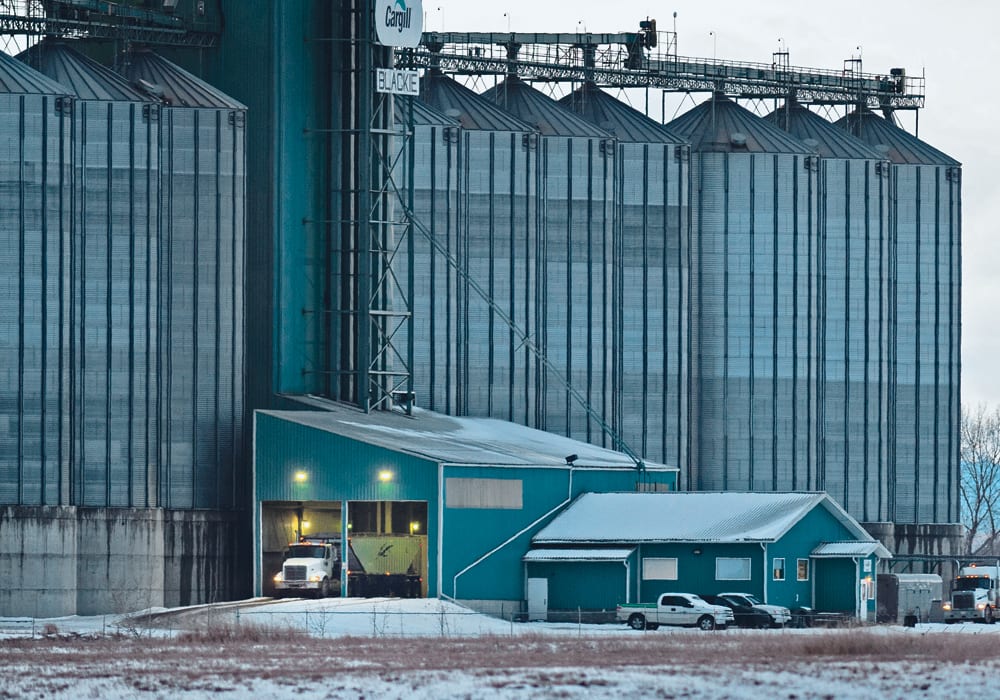 Trucks unload grain at Cargill’s grain handling facility in Blackie, Alta., late last month.  |  Mike Sturk photo