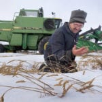 As Canadian farmers start thinking about what to plant next spring, global trade patterns and weather will play into decision making. | File photo