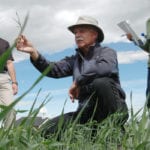Bob Blackshaw, the recently retired senior researcher at Agriculture Canada in Lethbridge, was presented with the Orville Yanke award Dec. 13 at the Farming Smarter conference in Lethbridge. | Barb Glen photo