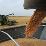 Canadian wheat ending stocks for 2018/19 (Aug/Jul) will be slightly larger than earlier thought, according to updated supply/demand tables from Agriculture and Agri-Food Canada. | File photo