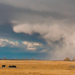 Why do fierce thunderstorms sometimes leave very little moisture on the ground? It’s a riddle that’s puzzled humankind for thousands of years.
| File photo