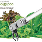 Young lettuce plants grow hydroponically in an automated robotic rail system that limits the need for any human hands to touch the plants. Each lettuce head goes into its own bag with roots still attached. Marketed as Inspired Greens in many locations across North America, the lettuce lasts longer than traditional lettuce available in the marketplace. | Barb Glen photo