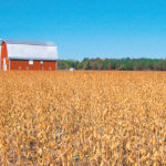 Disrupted agricultural trade hurt both sides particularly hard because China is the world's biggest soybean importer and last year relied on the United States for $12 billion worth of the oilseed. | USDA photo