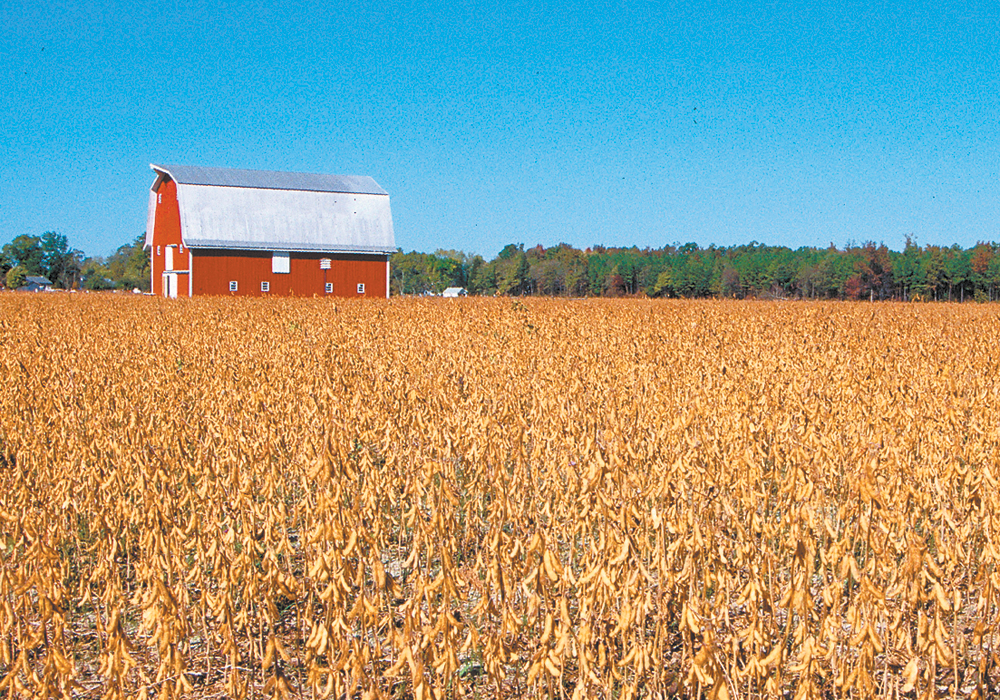 Disrupted agricultural trade hurt both sides particularly hard because China is the world's biggest soybean importer and last year relied on the United States for $12 billion worth of the oilseed. | USDA photo