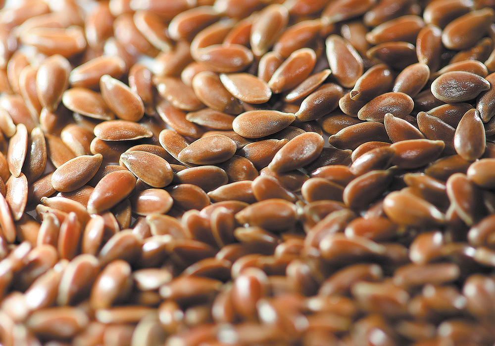 The European market is significant because it has traditionally been a major destination for Canadian flax, lentils and other organic commodities. | File photo
