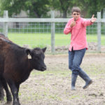 We have seen more workshops on low stress handling become available to western Canadian beef producers to attend and I know that everyone that enrolls in one of these workshops comes away with a new appreciation for some of the more subtle aspects of animal handling. | File photo
