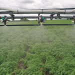 The fight against glyphosate is gaining famous allies. | File photo