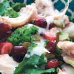 Toss up some cranberry and chicken into a mealtime salad. | Jodie Mirosovsky photo