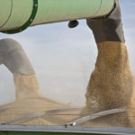 Feed barley delivered to Lethbridge, Alta. is currently sitting around C$258 per tonne, compared to C$215 to C$220 per tonne a year ago. | File photo