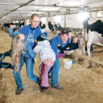 Milking the 70 cows at the Lovich farm near Balgonie, Sask., is a family affair as Renelle, 7, Raelyn, 4 and Reata, 9, run into the arms of their parents, Jessica and Michael. | William DeKay photo