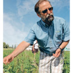 InnoTech Alberta researcher Jan Slaski says surveys have found that only four percent of Canadians use hemp seed, compared to more than 60 percent who say they use or have used marijuana. | File photo