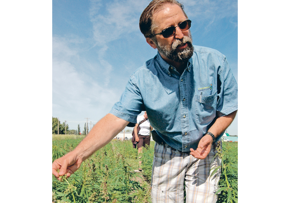 InnoTech Alberta researcher Jan Slaski says surveys have found that only four percent of Canadians use hemp seed, compared to more than 60 percent who say they use or have used marijuana.  |  File photo