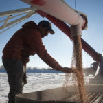 Carlier said farmers have a right to be concerned about the proposal, which is currently the subject of consultations by Agriculture Canada and the Canadian Food Inspection Agency. | File photo