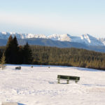Turmoil over the proposed parks area, situated between Jasper and Banff national parks, began to bubble last week when NDP Environment and Parks Minister Shannon Phillips announced upcoming in-person townhall-style meetings would be cancelled. | Jeremy Simes photo