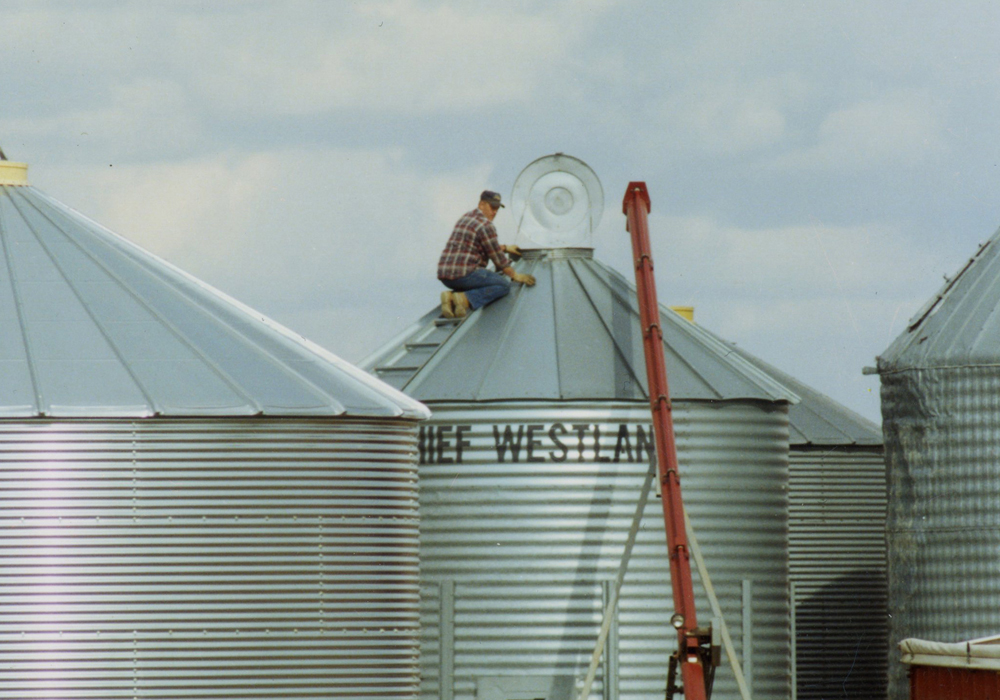 In a joint news release dated Jan. 11, seed companies Alliance Seed, Canterra, FP Genetics and SeCan said they hope to provide seed customers with more clarity about proposed funding changes and how will affect primary producers. | File photo