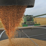 Marlene Boersch, managing partner with Mercantile Consulting Venture, advises growers to sell the balance of their old crop wheat at prices of $7.25 per bushel or better but don’t wait too long. | File photo