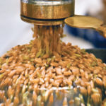The National Farmers Union is urging producers to take all available opportunities to oppose the proposed royalty on farm-saved seed. | File photo