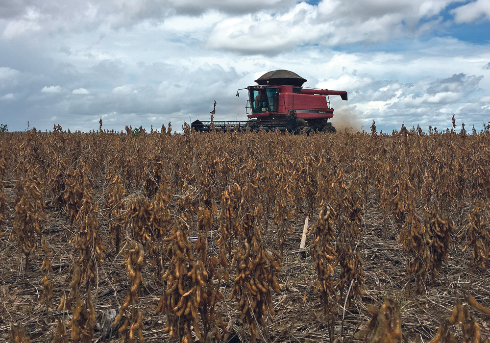 Soybeans are harvested at a farm near Porto Nacional in the Brazilian state of Tocantin last March. This year’s crop has been hit by dry weather.  |  REUTERS/Roberto Samora photo