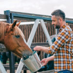 Some research shows that omega-3s can assist horses suffering from heaves (equine asthma) and have anti-inflammatory properties that treat arthritis. | Getty photo