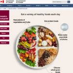 Health Canada has unveiled its new food guide, which switches the focus from portion sizes to a balanced diet and includes protein from sources like peas and lentils. | Screencap via food-guide.canada.ca