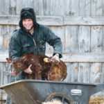 Calves with viral diarrhea that is uncomplicated by other pathogens commonly respond within a few days to fluid and electrolyte therapy and adequate nutrition. Amos Entz of the MacMillan Colony near Cayley, Alta., seems to be pleased with the results of this particular calving experience. | Mike Sturk photo
