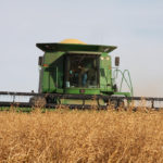 Yellow mustard is currently topping out at around 36 cents per pound, while brown mustard bids are in the 30 to 31 cent range, according to Prairie Ag Hotwire data. New crop bids are about two cents lower on average. | File photo