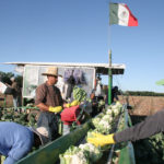 The federal government has provided funds to help determine the best practices for recruiting and retaining international workers for the agriculture sector. | File photo